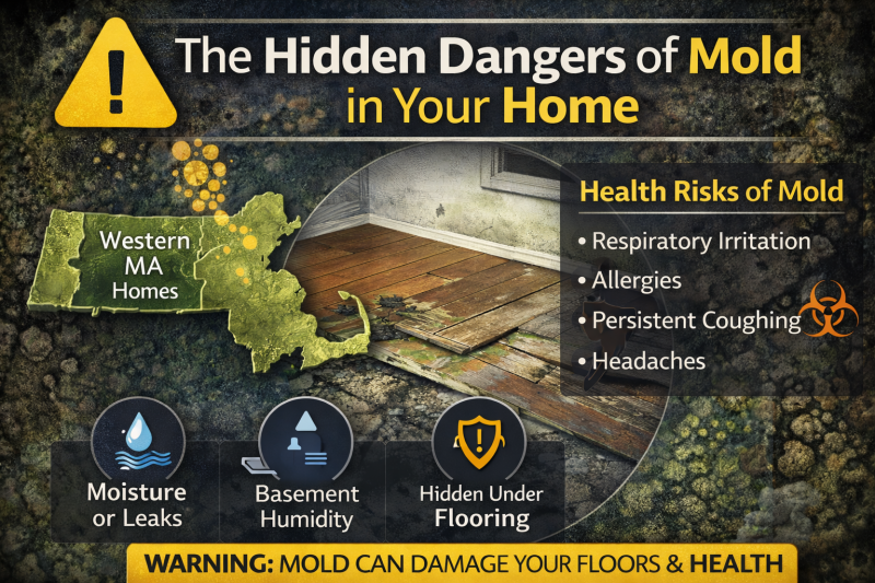 The Hidden Dangers of Mold in Your Home